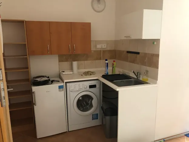 Pronájem bytu 1+kk, Brno, Rybkova, 19 m2