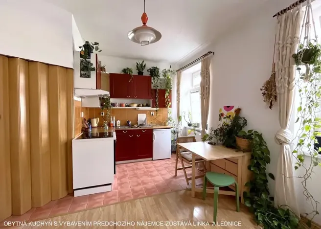 Pronájem bytu 1+1, Brno, Gorkého, 40 m2