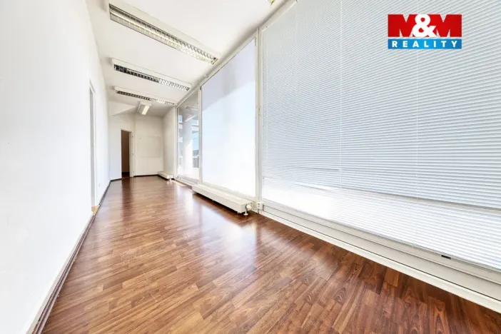 Pronájem obchodního prostoru, Písek, Čechova, 53 m2