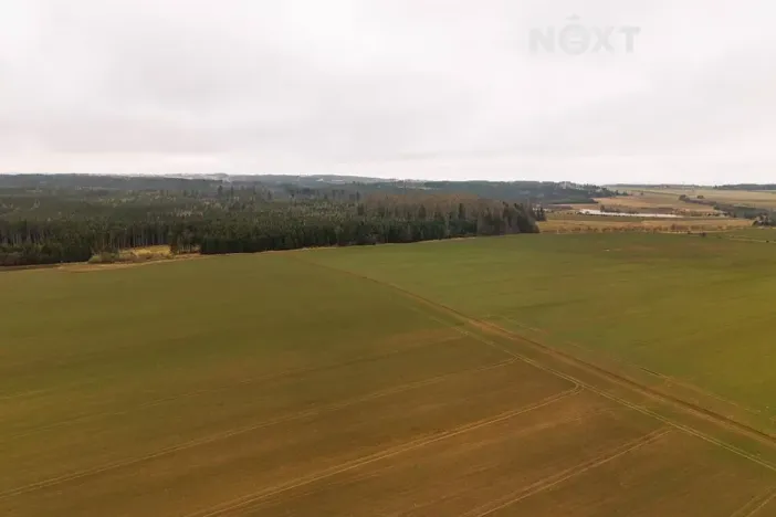 Prodej louky, Niva, 7301 m2