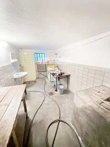 Prodej vícegeneračního domu, Dlouhá Loučka, Na Fibichu, 238 m2