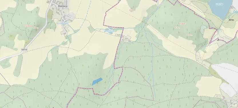 Prodej lesa, Kolinec - Buršice, 3423 m2