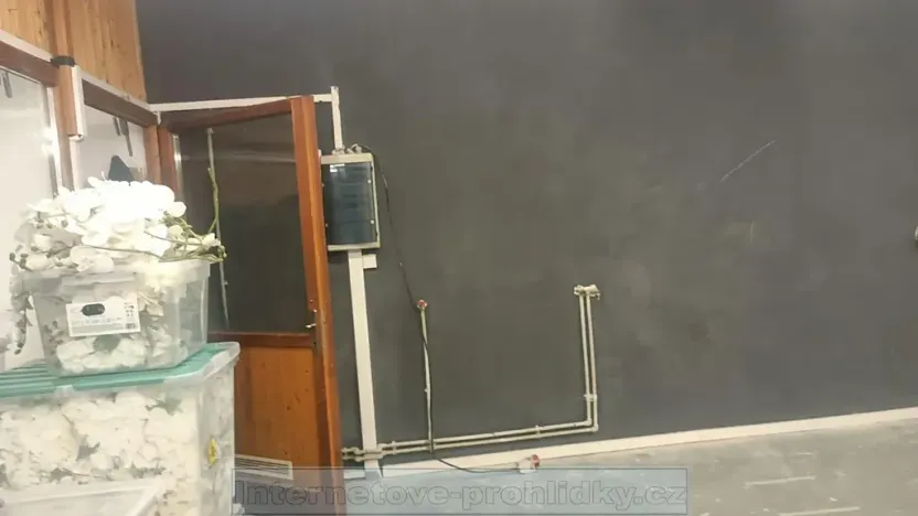 Pronájem skladu, Praha - Žižkov, Olšanská, 10 m2