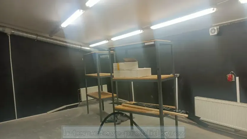 Pronájem skladu, Praha - Žižkov, Olšanská, 10 m2