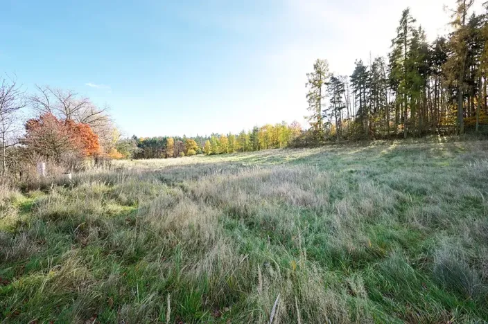 Prodej pozemku pro bydlení, Daleké Dušníky, 1217 m2