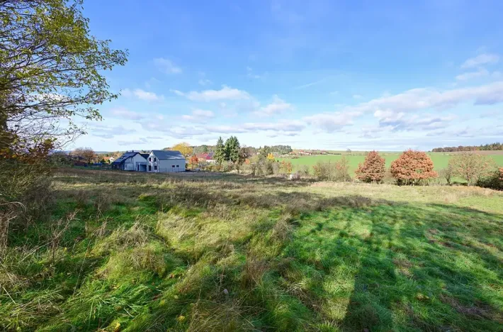 Prodej pozemku pro bydlení, Daleké Dušníky, 1217 m2