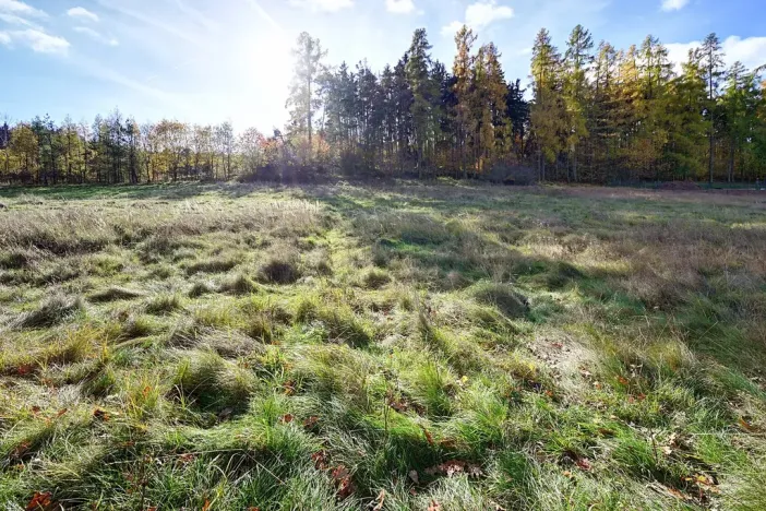 Prodej pozemku pro bydlení, Daleké Dušníky, 1217 m2