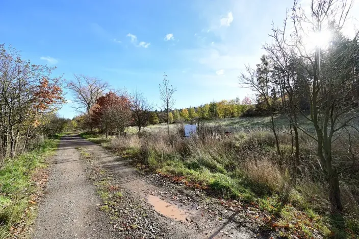 Prodej pozemku pro bydlení, Daleké Dušníky, 1217 m2