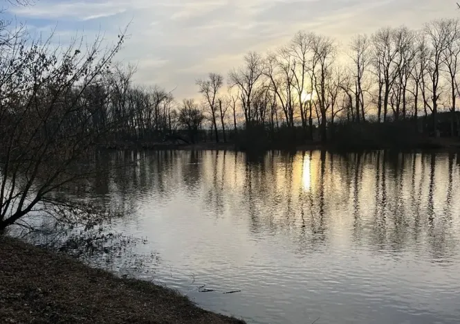 Pronájem pozemku, Chodouny, 160 m2