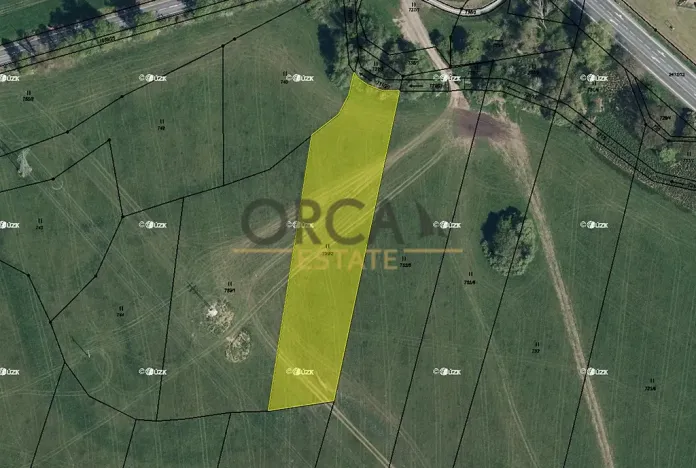 Prodej louky, Třebechovice pod Orebem, 4201 m2