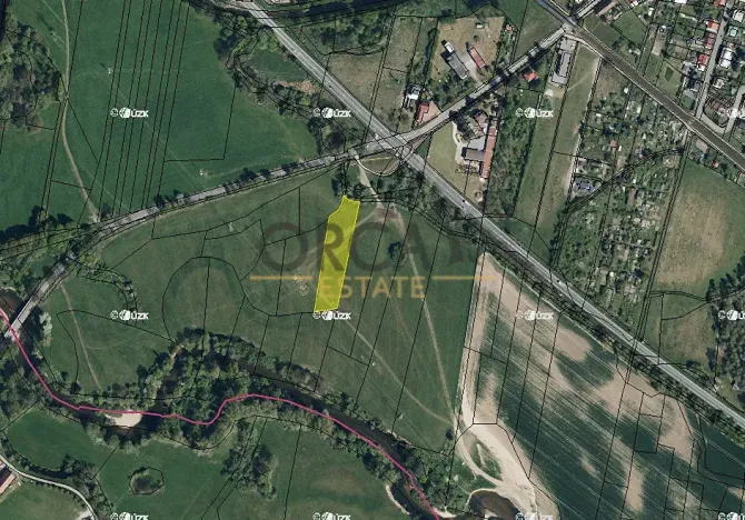 Prodej louky, Třebechovice pod Orebem, 4201 m2