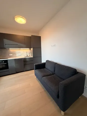 Pronájem bytu 1+kk, Praha - Strašnice, Michelangelova, 35 m2