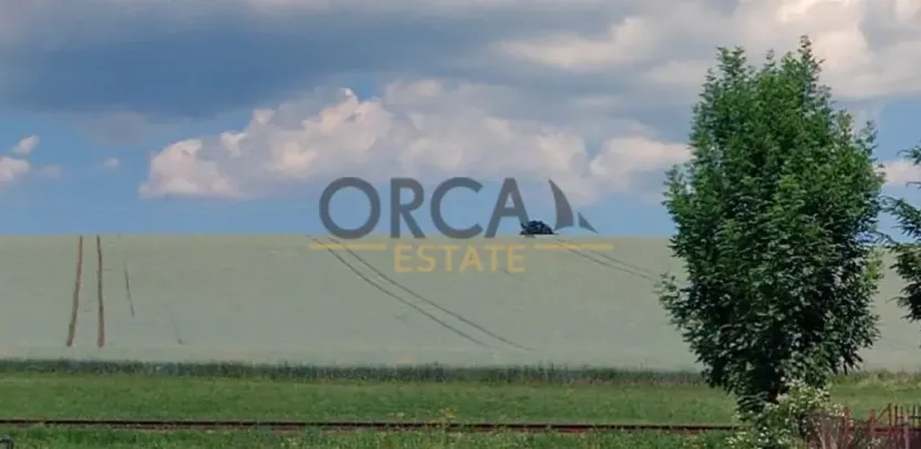 Prodej louky, Dolní Branná, 9362 m2