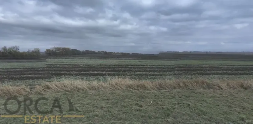 Prodej podílu pole, Prušánky, 840 m2