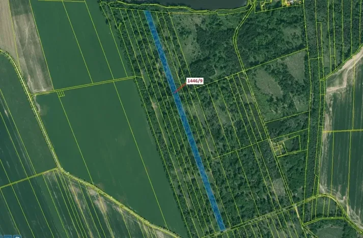 Dražba lesa, Břehov, 19879 m2