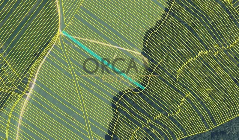 Prodej pole, Mistřice, 6356 m2