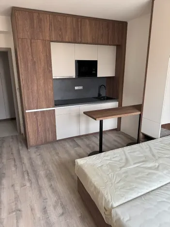 Pronájem pokoje, Praha - Michle, Na úlehli, 48 m2