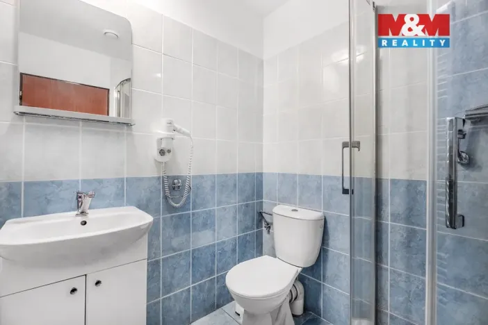 Prodej ubytování, Bílina - Mostecké Předměstí, Kyselská, 170 m2