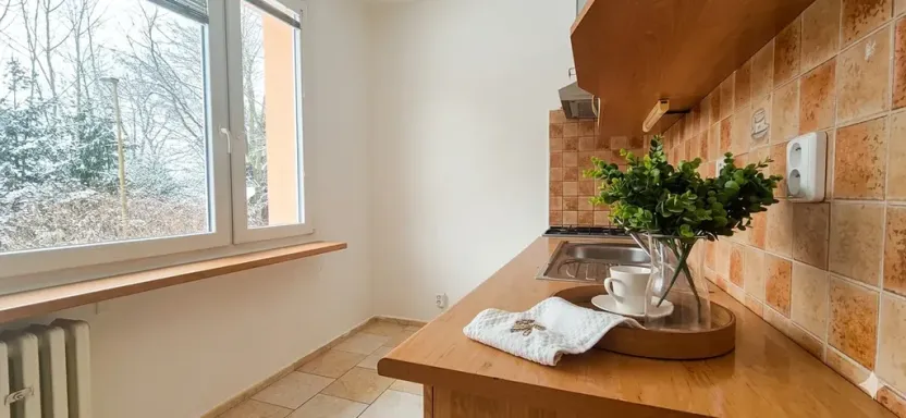 Prodej bytu 1+1, Turnov, Přepeřská, 35 m2