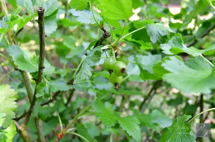 Prodej chaty, Dolní Zálezly, 37 m2
