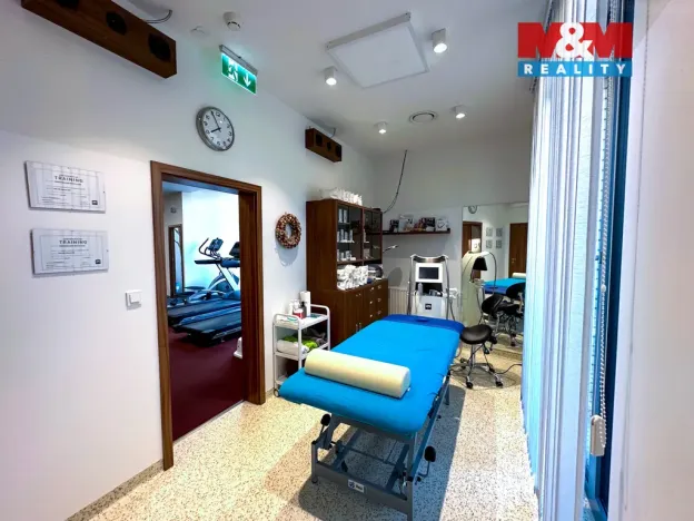 Prodej obchodního prostoru, Praha - Smíchov, Kobrova, 276 m2