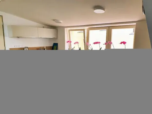 Pronájem bytu 1+kk, Plzeň - Vnitřní Město, Veleslavínova, 36 m2