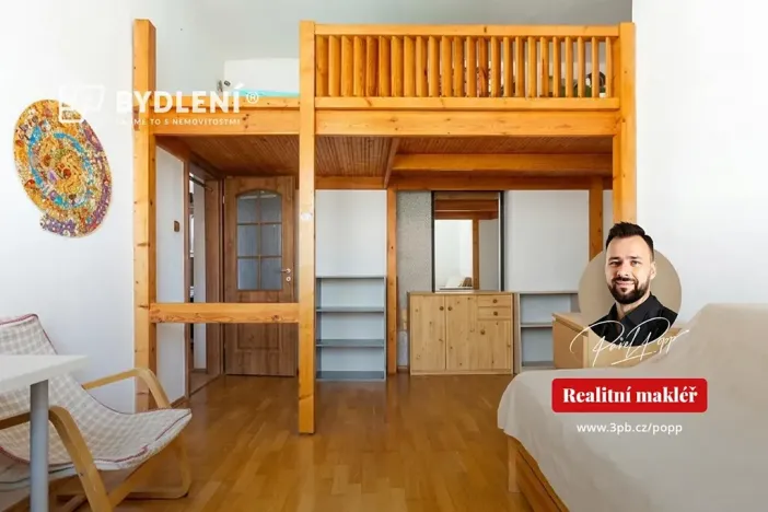 Prodej bytu 3+1, Ústí nad Labem, Elišky Krásnohorské, 74 m2