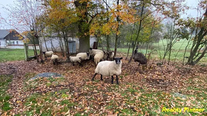 Prodej zemědělské usedlosti, Milevsko, 105 m2