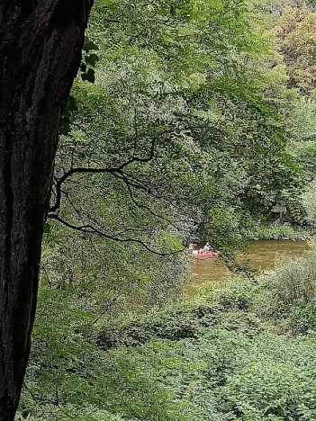 Prodej chaty, Krňany - Třebsín, 24 m2