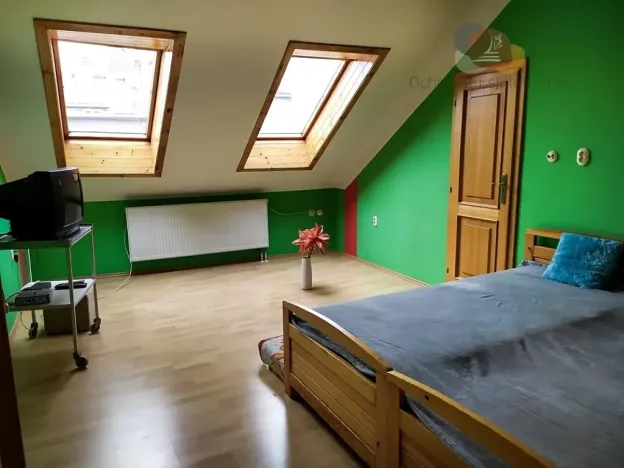 Prodej vícegeneračního domu, Litovel, 265 m2