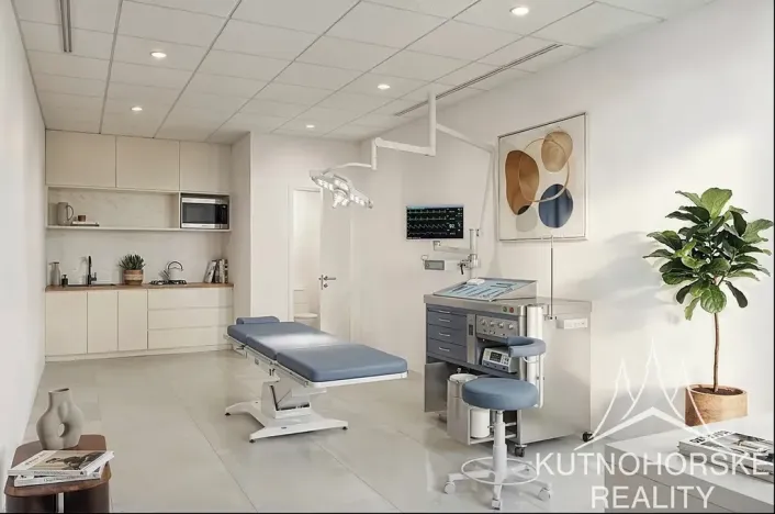 Prodej komerční nemovitosti, Kutná Hora, Zvěřinova, 318 m2