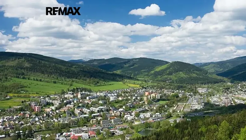 Prodej bytu 1+kk, Vrbno pod Pradědem, Žižkova, 55 m2