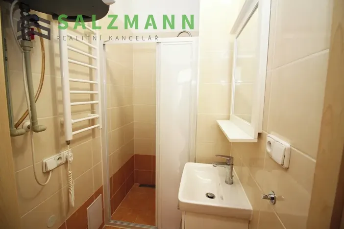 Pronájem bytu 2+kk, Plzeň, Úslavská, 38 m2