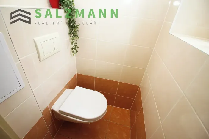 Pronájem bytu 2+kk, Plzeň, Úslavská, 38 m2