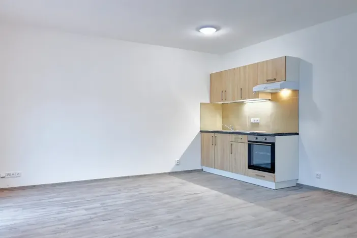 Pronájem bytu 1+kk, Plzeň, Železniční, 50 m2