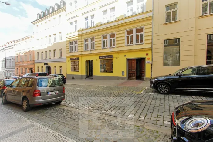 Pronájem garážového stání, Praha - Nusle, Vladimírova, 15 m2