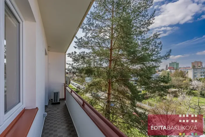 Pronájem bytu 1+1, Olomouc, Polívkova, 36 m2