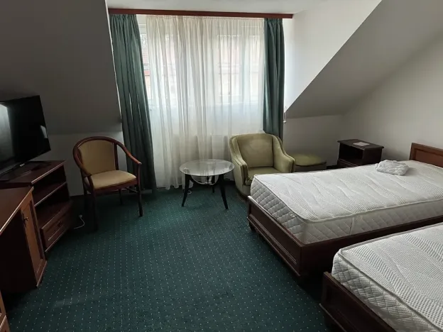 Prodej ubytování, Lázně Kynžvart, Zámek, 1539 m2