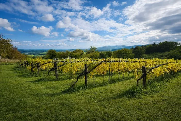 Prodej zemědělské usedlosti, Lhenice, 300 m2