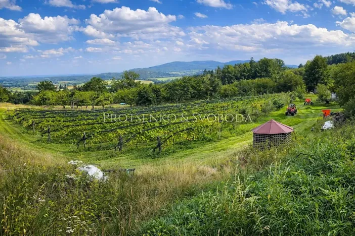 Prodej zemědělské usedlosti, Lhenice, 300 m2