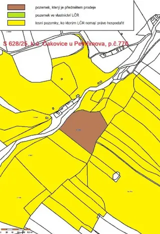 Prodej lesa, Pelhřimov, 14638 m2