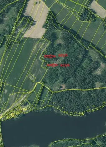 Prodej lesa, Nová Bystřice, 2850 m2