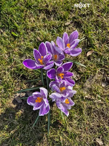 Pronájem bytu 2+1, Praha - Žižkov, Žerotínova, 64 m2