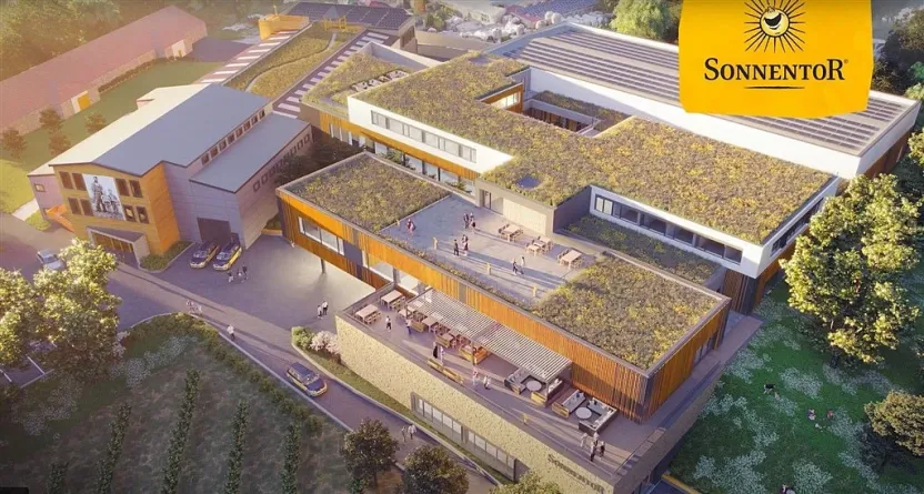 Prodej ostatní, Čejkovice