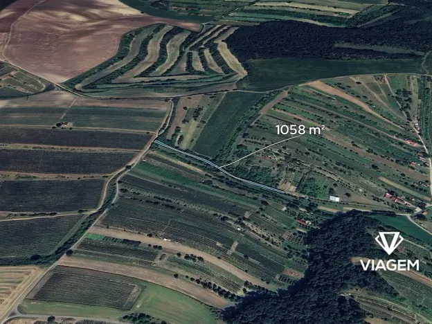 Prodej podílu pole, Mutěnice, 352 m2