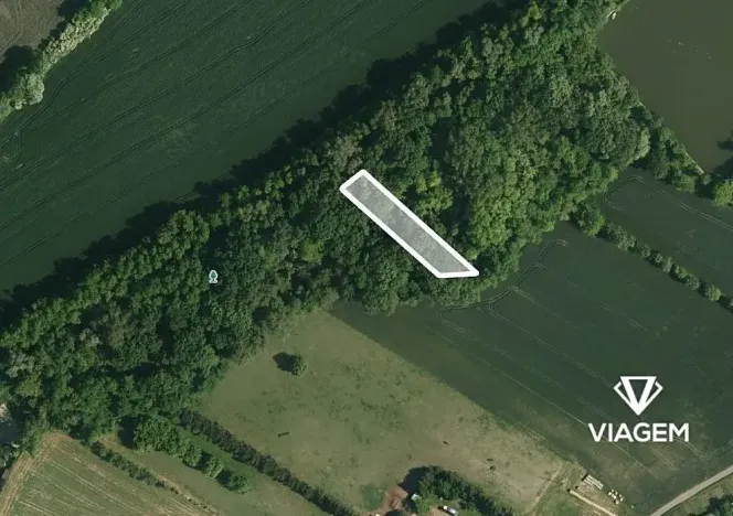 Prodej podílu lesa, Telnice, 462 m2