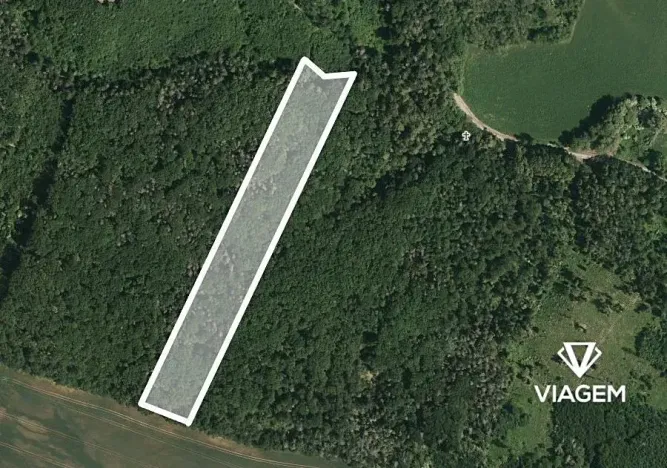 Prodej podílu lesa, Prštice, 1259 m2