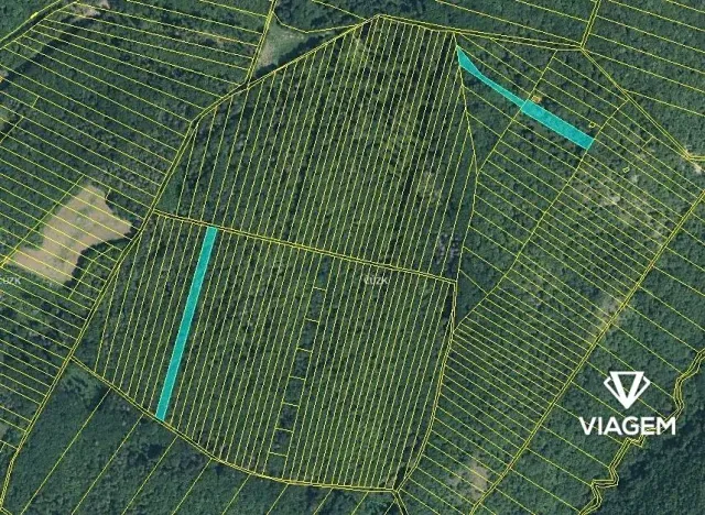 Prodej podílu lesa, Brno, 996 m2