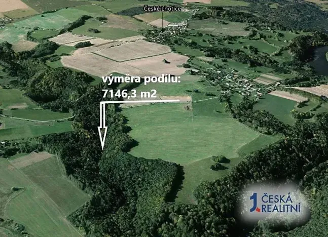 Prodej podílu lesa, České Lhotice, 7146 m2