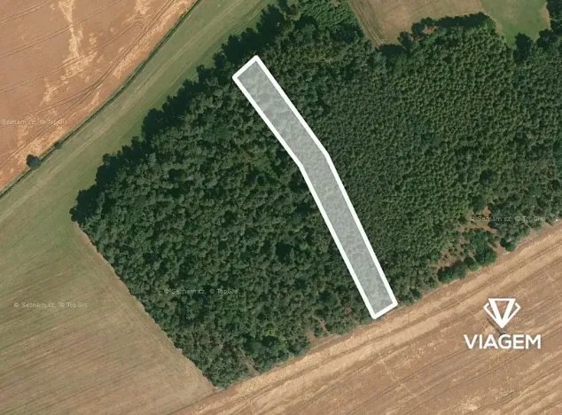 Prodej podílu lesa, Koloveč, 718 m2